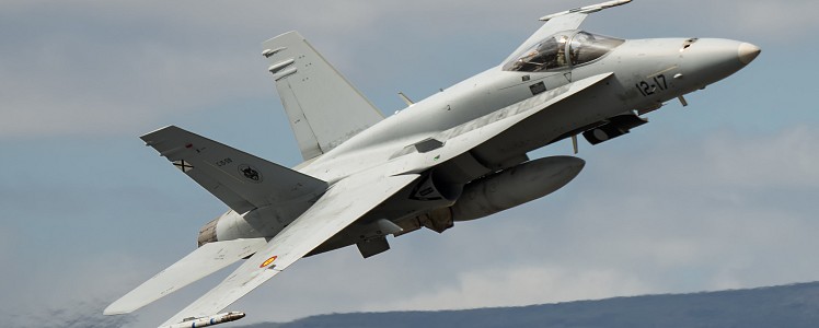 C/CE.15 (F18 “Hornet”)